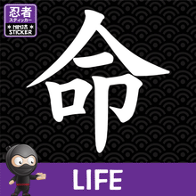 Load image into Gallery viewer, Life Japanese Kanji Vinyl Decal