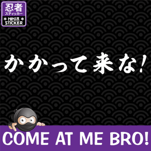 Come at me bro! Japanese Vinyl Decal
