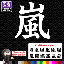 Load image into Gallery viewer, Storm Japanese Kanji Vinyl Decal